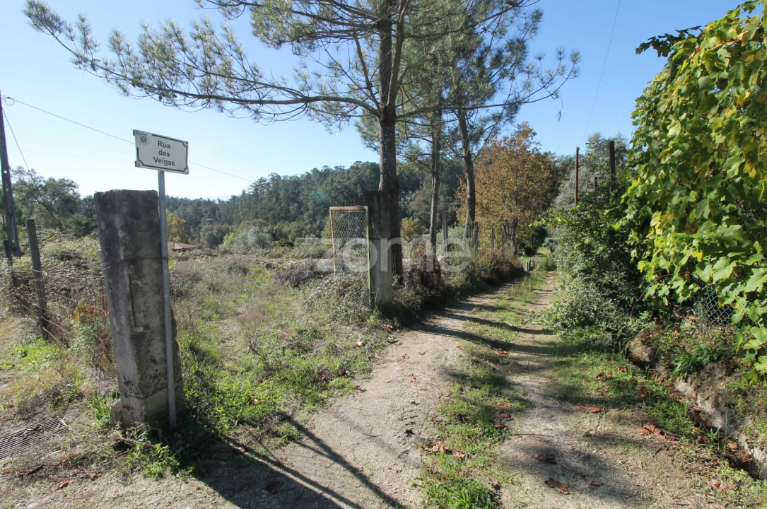 Terreno para Venda em Goães Foto 2