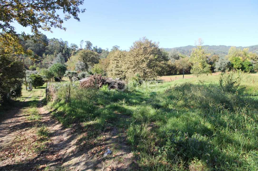 Terreno para Venda em Goães Foto 6