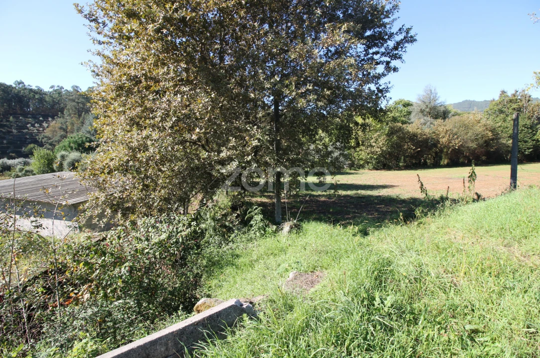 Terreno para Venda em Goães Foto 5