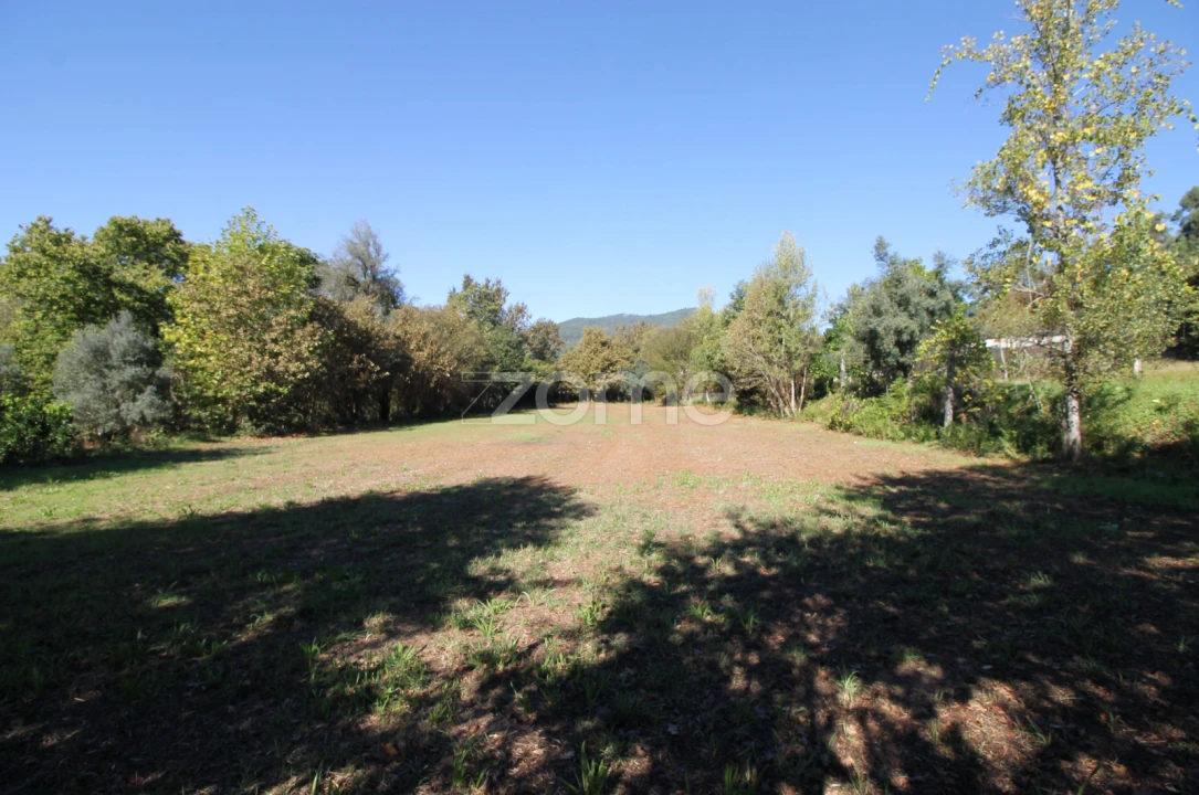 Terreno para Venda em Goães Foto 15