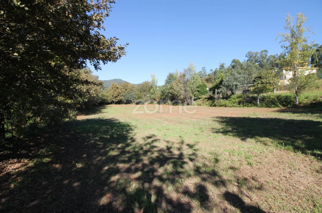 Terreno para Venda em Goães Foto 16