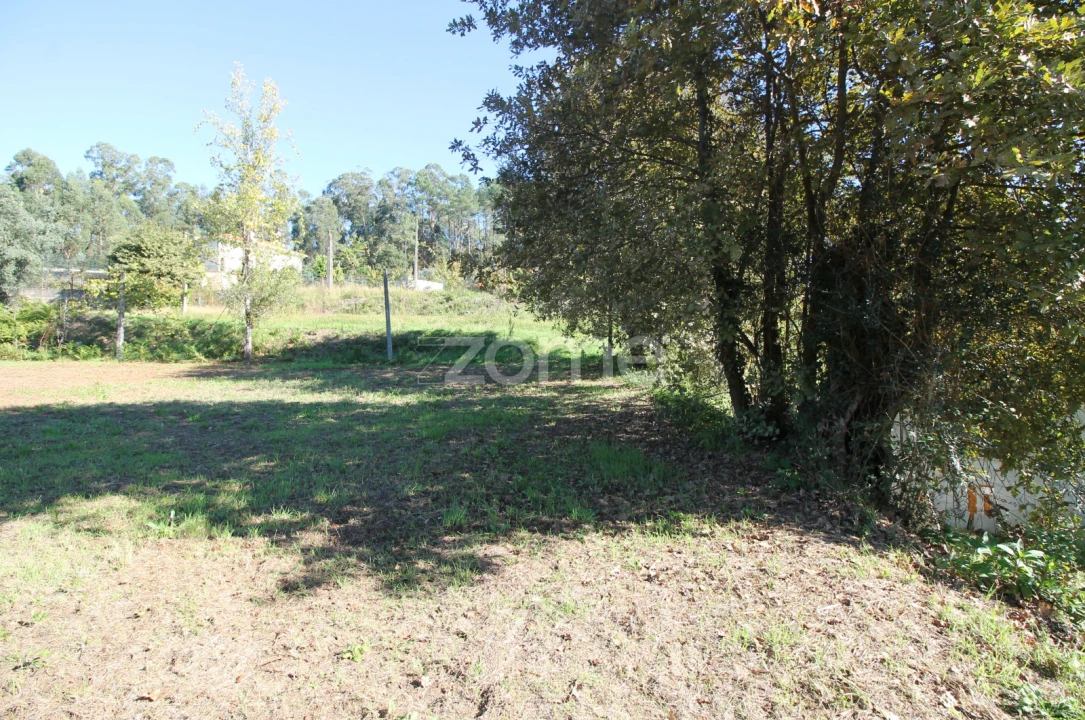 Terreno para Venda em Goães Foto 17