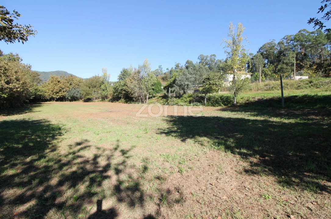 Terreno para Venda em Goães Foto 8