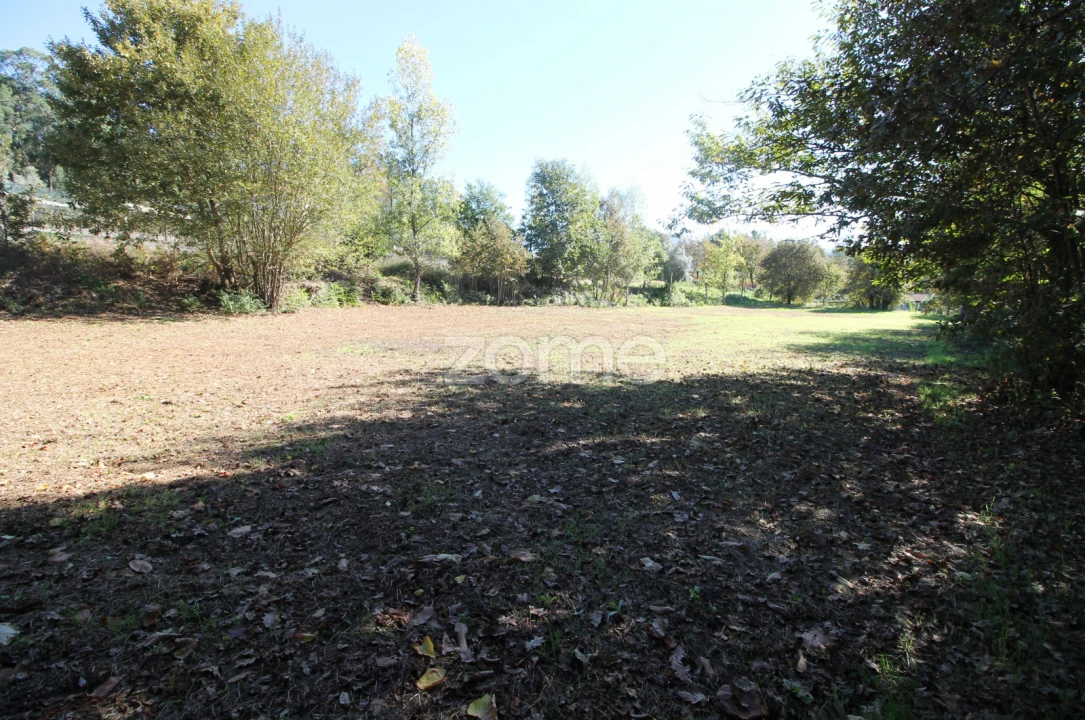 Terreno para Venda em Goães Foto 18