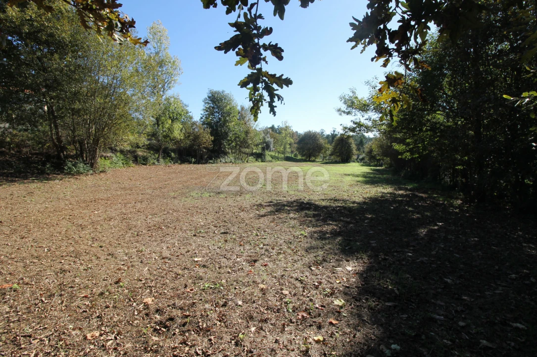 Terreno para Venda em Goães Foto 19