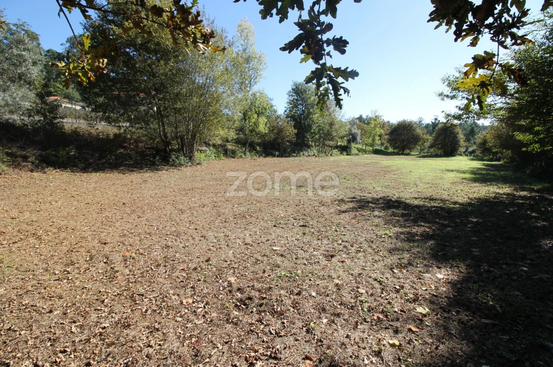 Terreno para Venda em Goães Foto 20