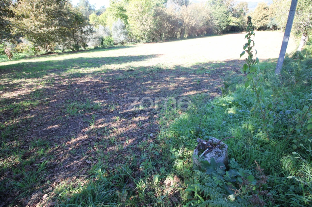 Terreno para Venda em Goães Foto 4
