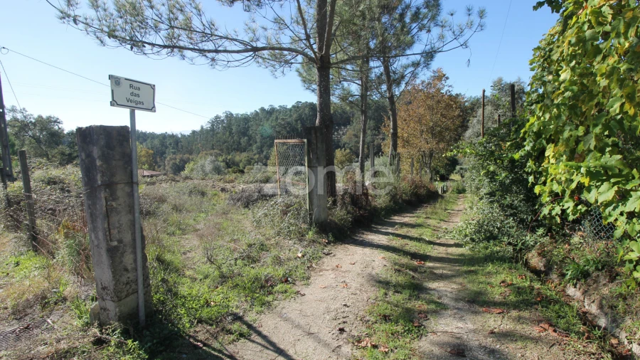 Terreno para Venda em Goães