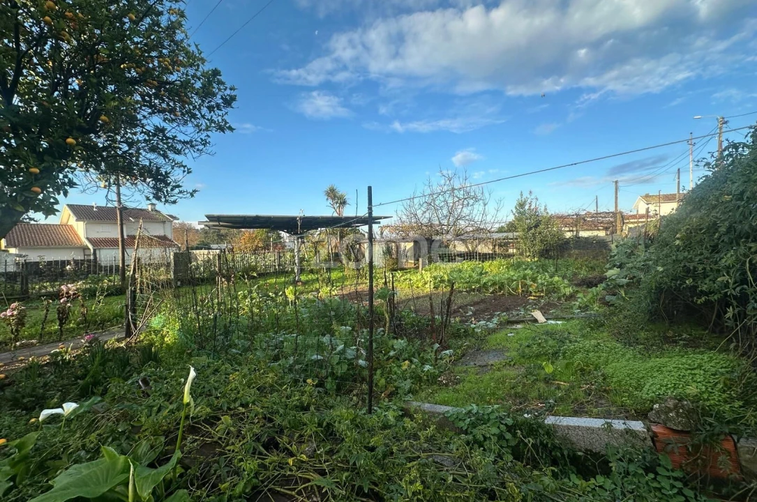 Terreno para Venda em Oliveira (Santa Maria) Foto 11