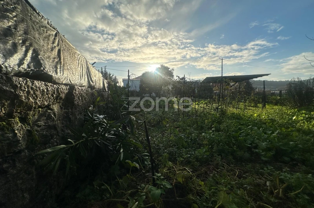 Terreno para Venda em Oliveira (Santa Maria) Foto 6