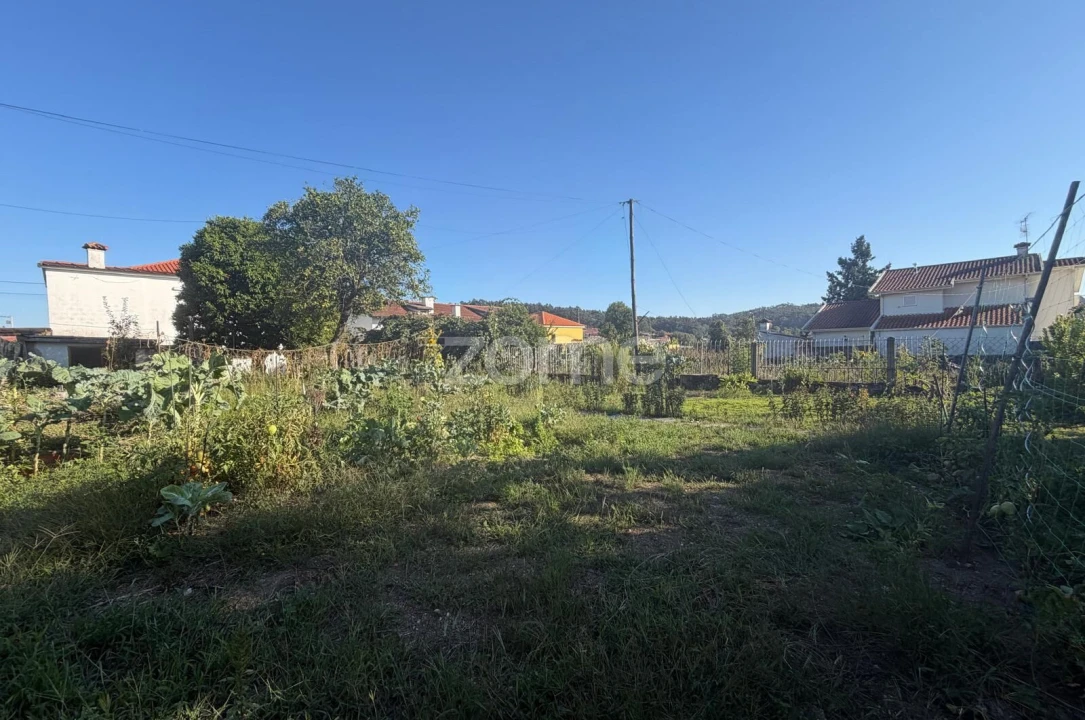 Terreno para Venda em Oliveira (Santa Maria) Foto 20