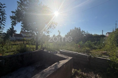 Terreno para Venda em Oliveira (Santa Maria)