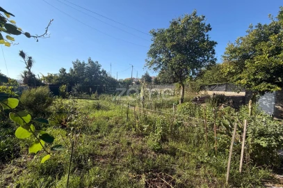 Terreno para Venda em Oliveira (Santa Maria)