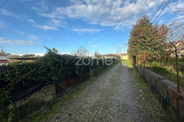 Terreno para Venda em Oliveira (Santa Maria) Foto 13