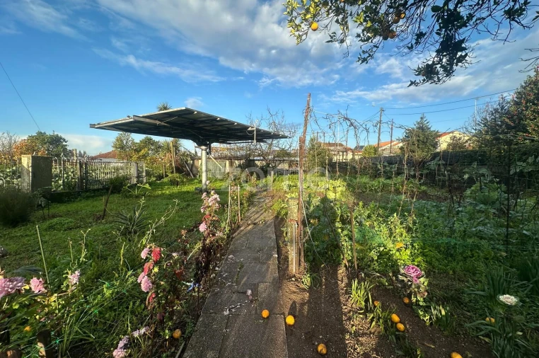 Terreno para Venda em Oliveira (Santa Maria) Foto 2