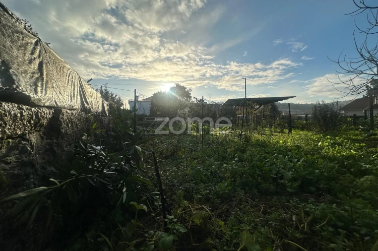 Terreno para Venda em Oliveira (Santa Maria) Foto 7