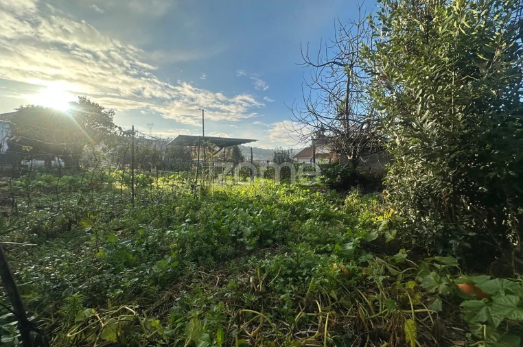 Terreno para Venda em Oliveira (Santa Maria) Foto 5