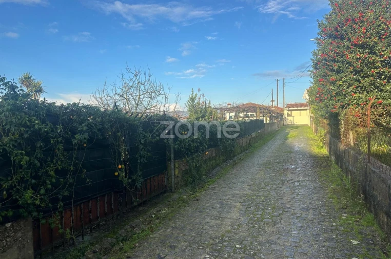 Terreno para Venda em Oliveira (Santa Maria) Foto 3