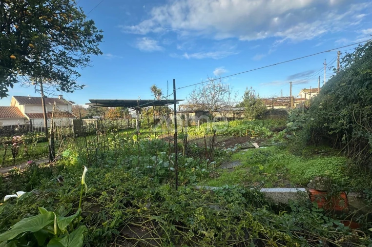 Terreno para Venda em Oliveira (Santa Maria) Foto 17