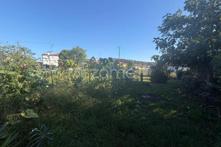 Terreno para Venda em Oliveira (Santa Maria) Foto 23