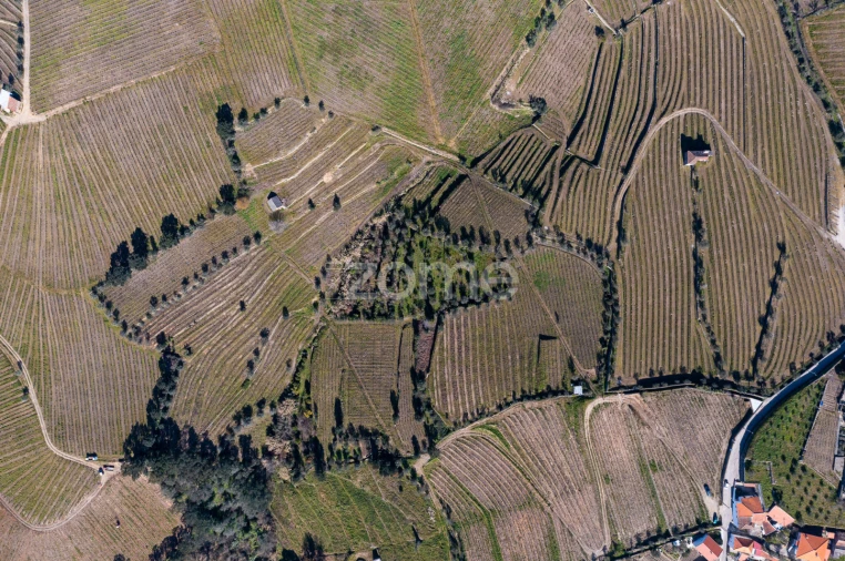 Terreno para Venda em Fontelas Foto 3