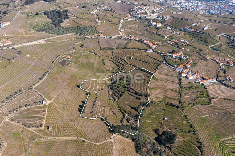Terreno para Venda em Fontelas Foto 4