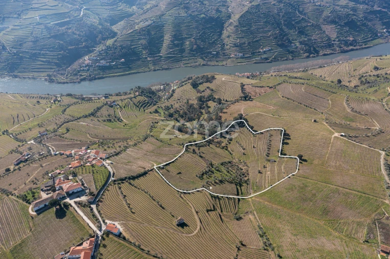 Terreno para Venda em Fontelas Foto 1