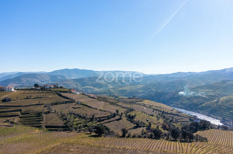 Terreno para Venda em Fontelas Foto 11