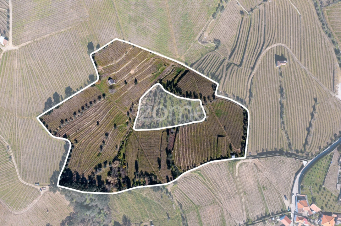 Terreno para Venda em Fontelas Foto 2