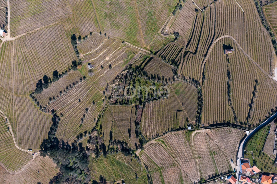 Terreno para Venda em Fontelas Foto 3