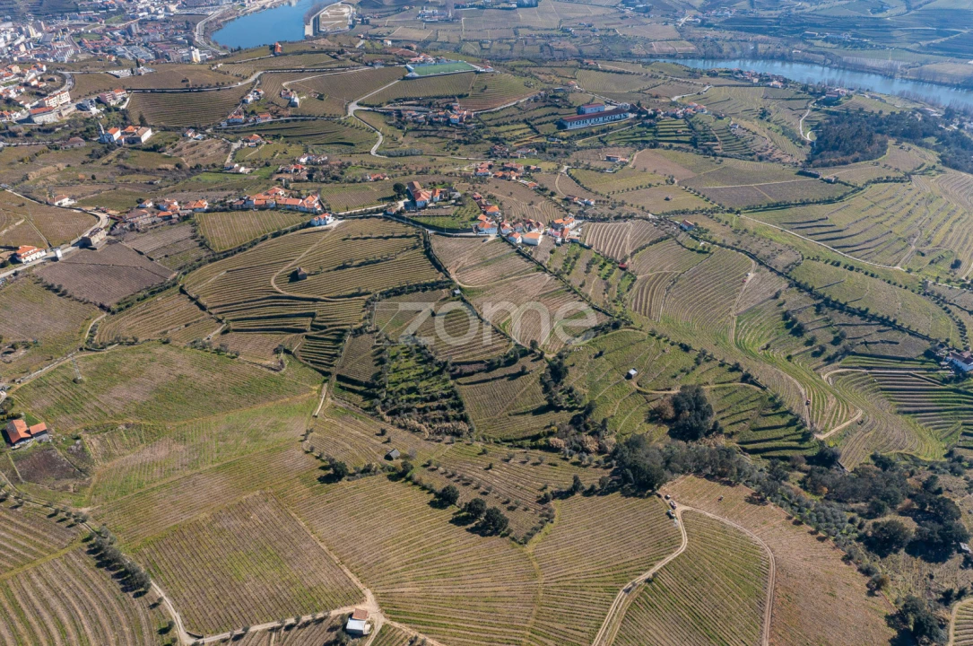 Terreno para Venda em Fontelas Foto 5
