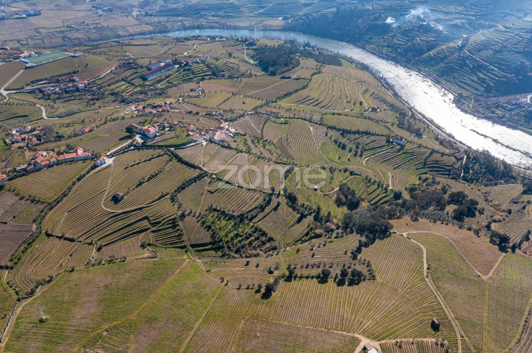 Terreno para Venda em Fontelas Foto 6