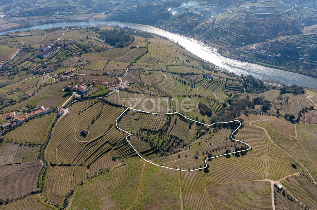 Terreno para Venda em Fontelas Foto 7