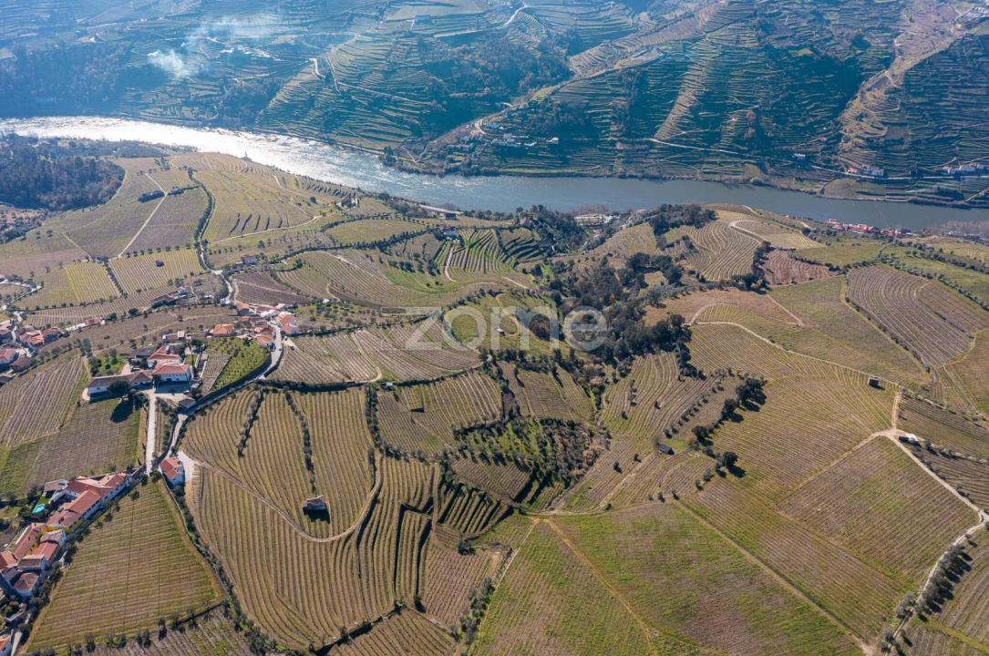 Terreno para Venda em Fontelas Foto 8