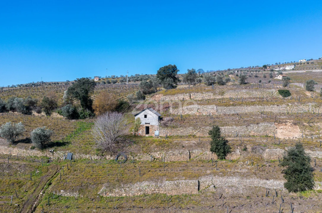 Terreno para Venda em Fontelas Foto 9