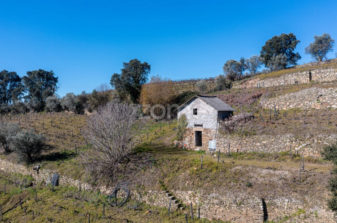 Terreno para Venda em Fontelas Foto 10
