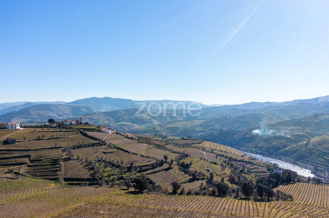 Terreno para Venda em Fontelas Foto 11