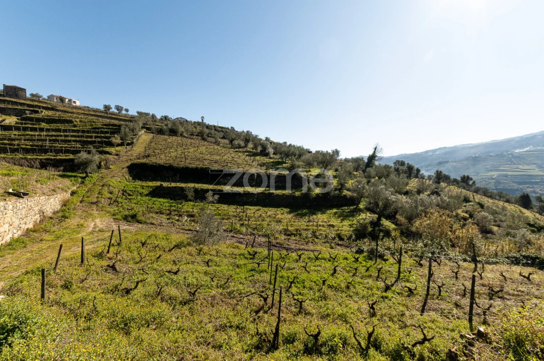 Terreno para Venda em Fontelas Foto 13