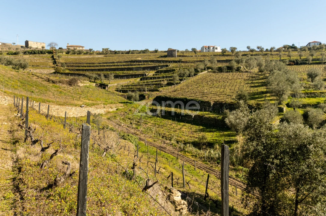 Terreno para Venda em Fontelas Foto 14