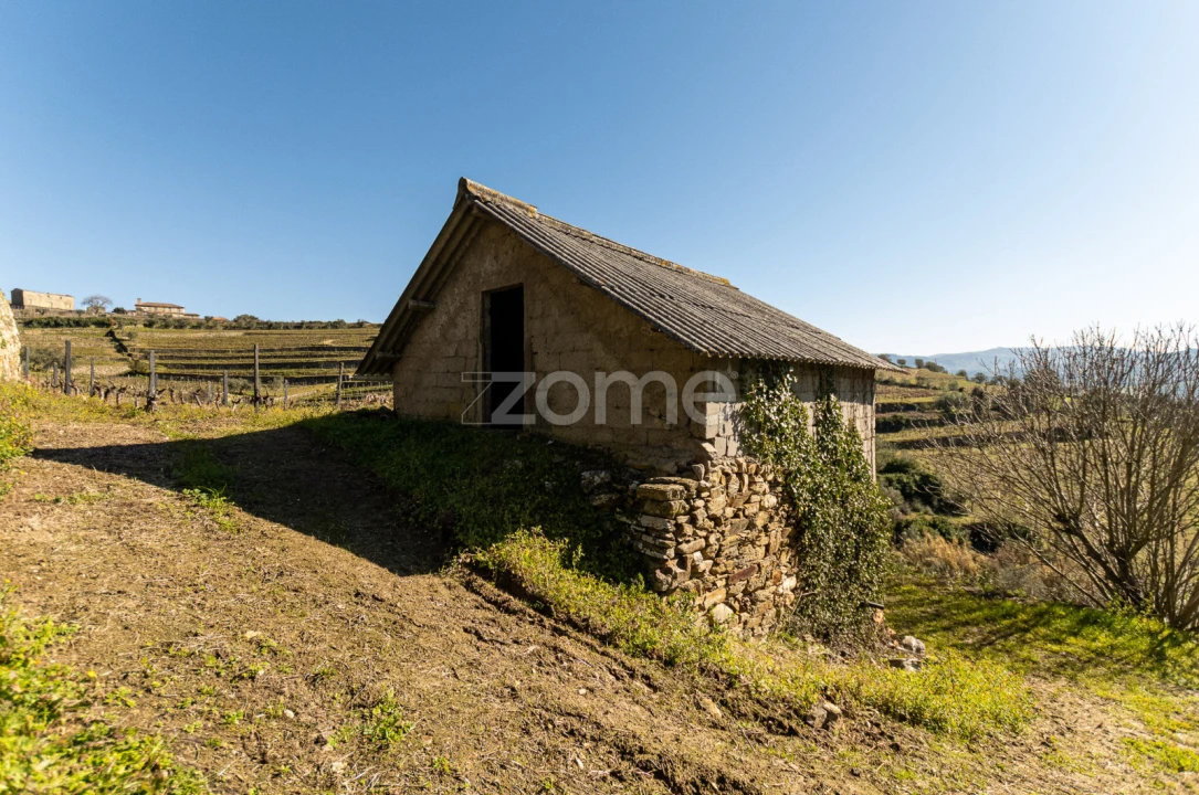 Terreno para Venda em Fontelas Foto 17