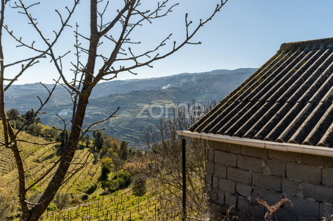 Terreno para Venda em Fontelas Foto 20