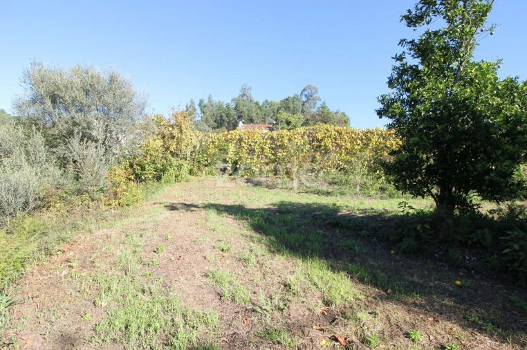 Terreno para Venda em Goães Foto 10