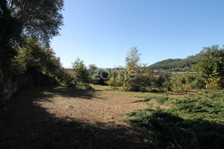 Terreno para Venda em Goães Foto 14