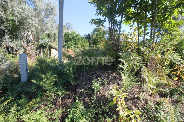 Terreno para Venda em Goães Foto 16