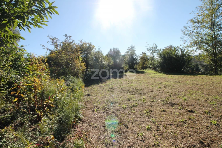 Terreno para Venda em Goães Foto 18