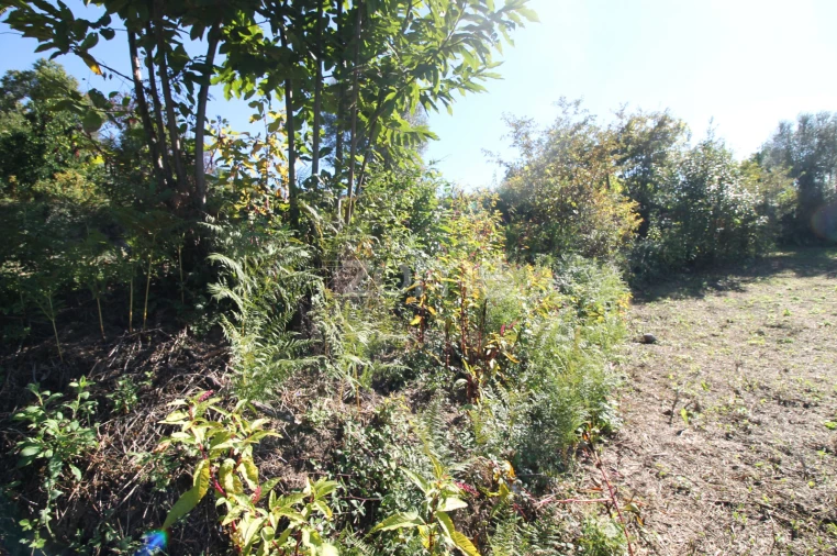 Terreno para Venda em Goães Foto 19