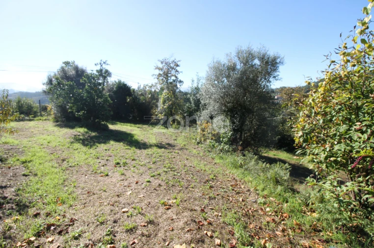 Terreno para Venda em Goães Foto 24