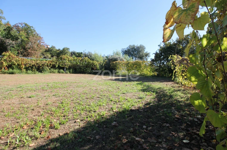 Terreno para Venda em Goães Foto 25