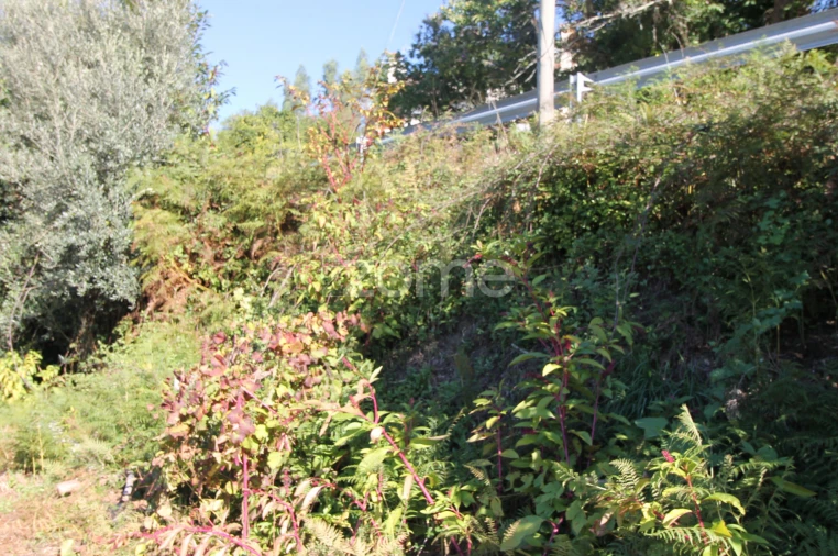 Terreno para Venda em Goães Foto 32