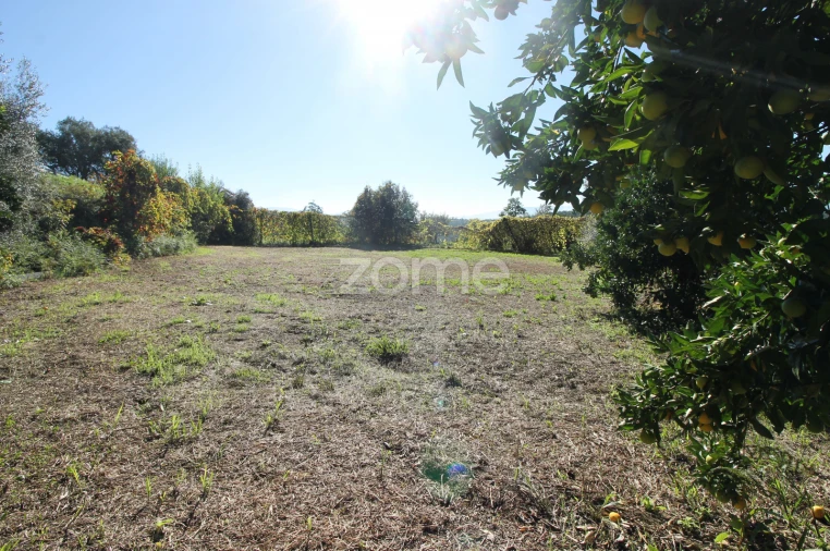 Terreno para Venda em Goães Foto 34